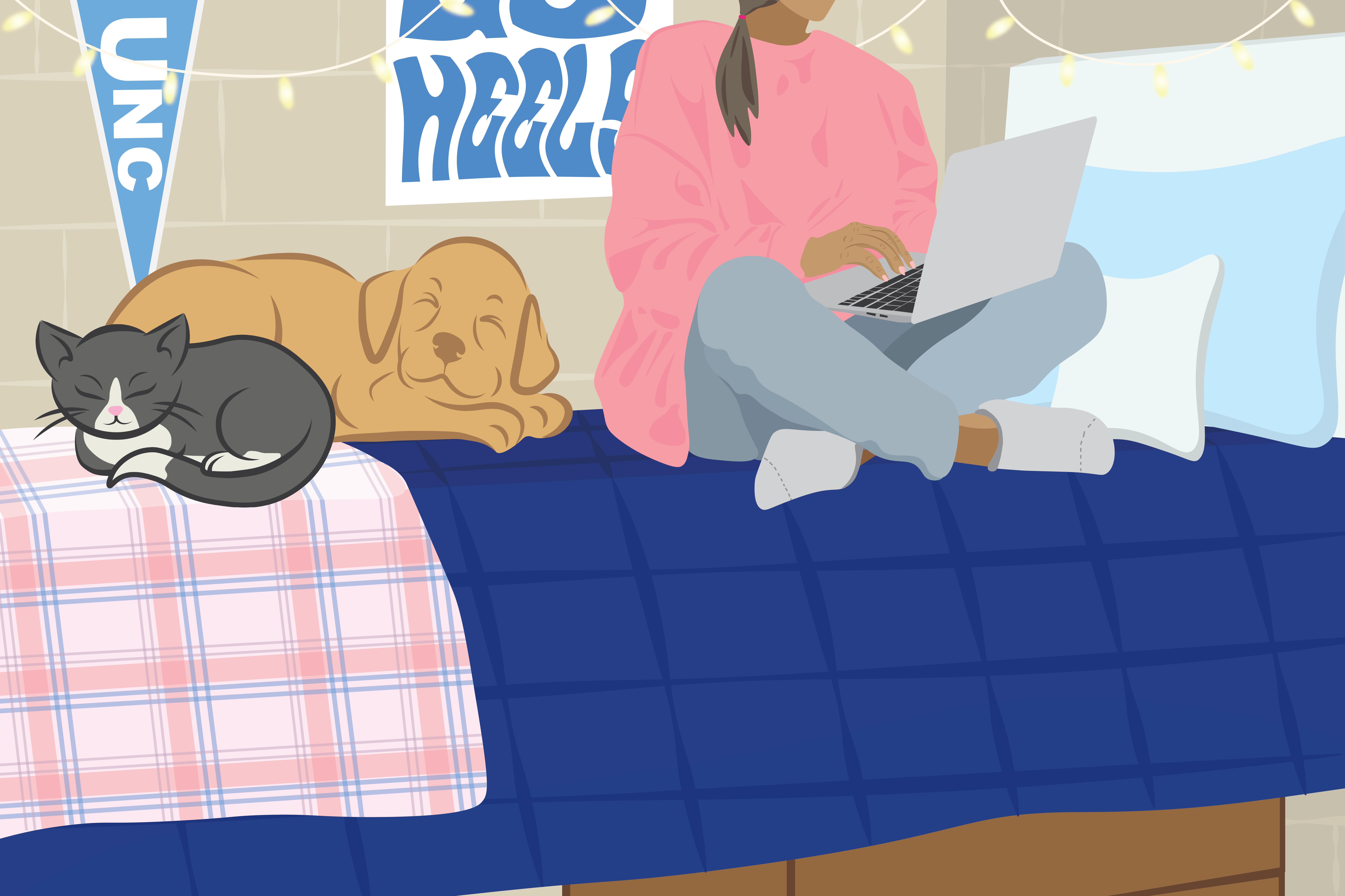 DTH Illustration 2